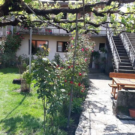 Apartment Dejan Τσέτινιε Εξωτερικό φωτογραφία