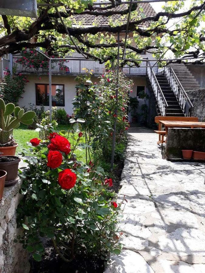 Apartment Dejan Τσέτινιε Εξωτερικό φωτογραφία