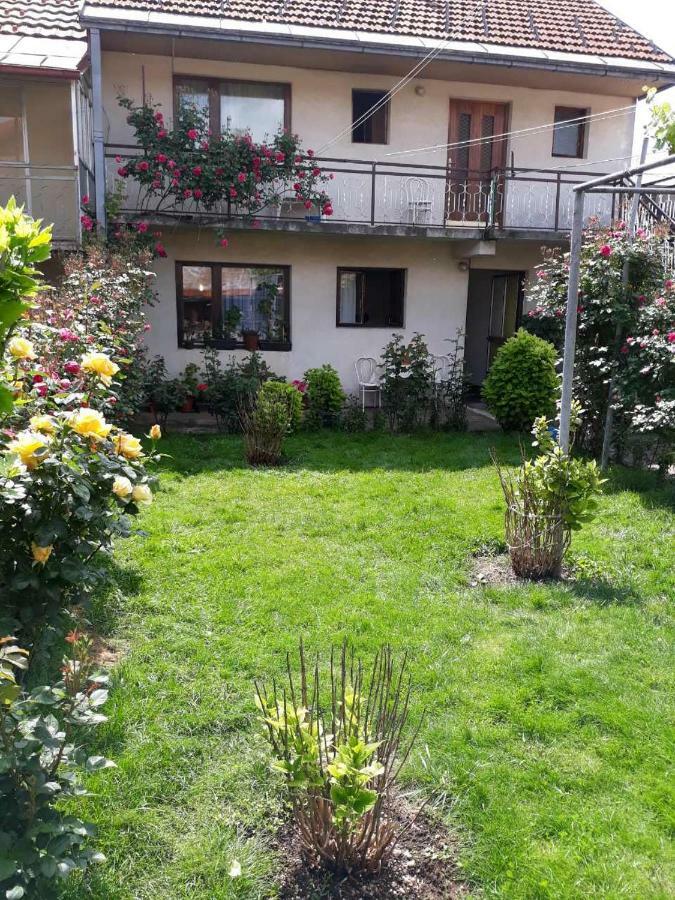 Apartment Dejan Τσέτινιε Εξωτερικό φωτογραφία