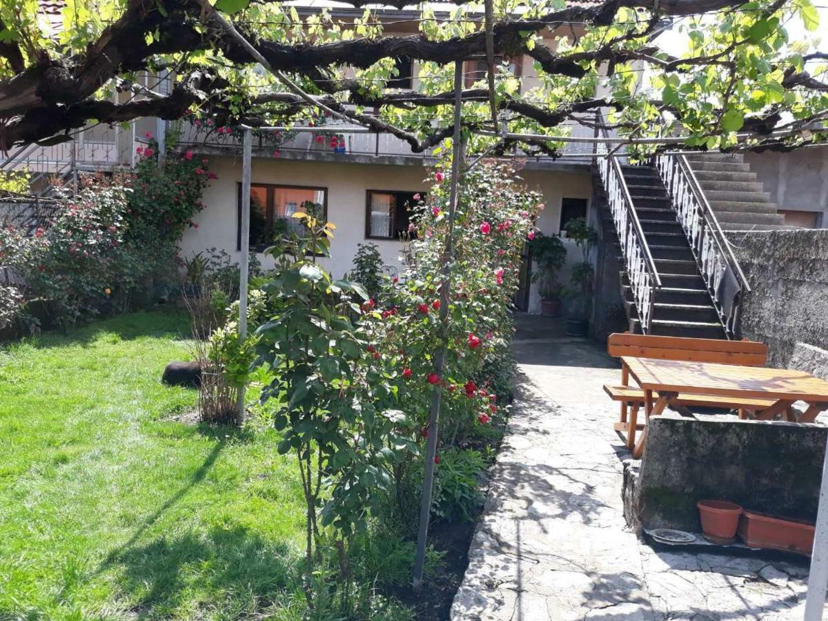 Apartment Dejan Τσέτινιε Εξωτερικό φωτογραφία